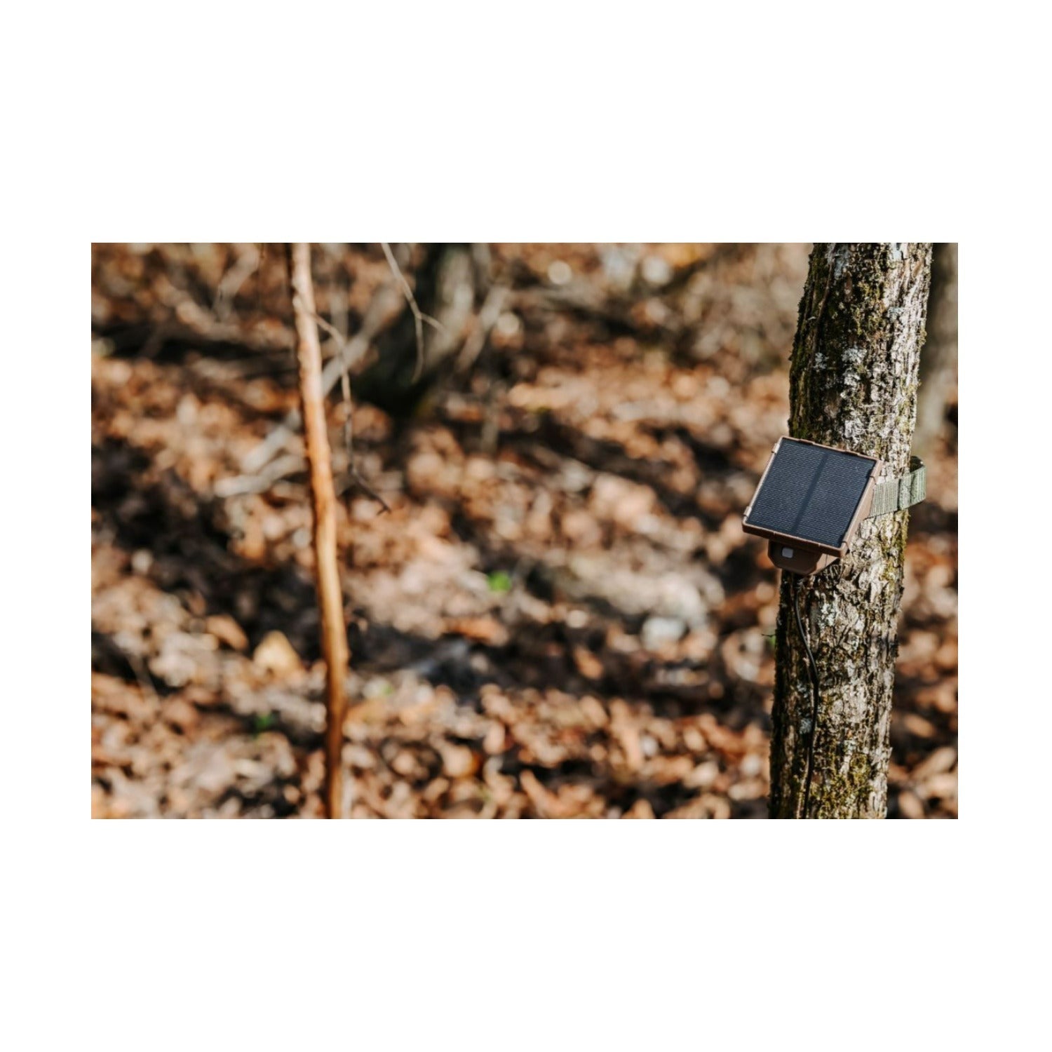 Browning Trail Camera Defender Wireless Pro Scout Max HD-DV Bundle
