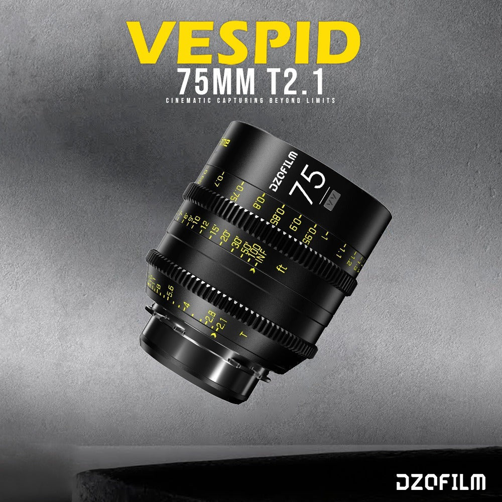 DZOFilm Vespid 75mm T2.1 Lens for Soft and Natural Bokeh (PL Mount) with Hard Carry Case Bundle
