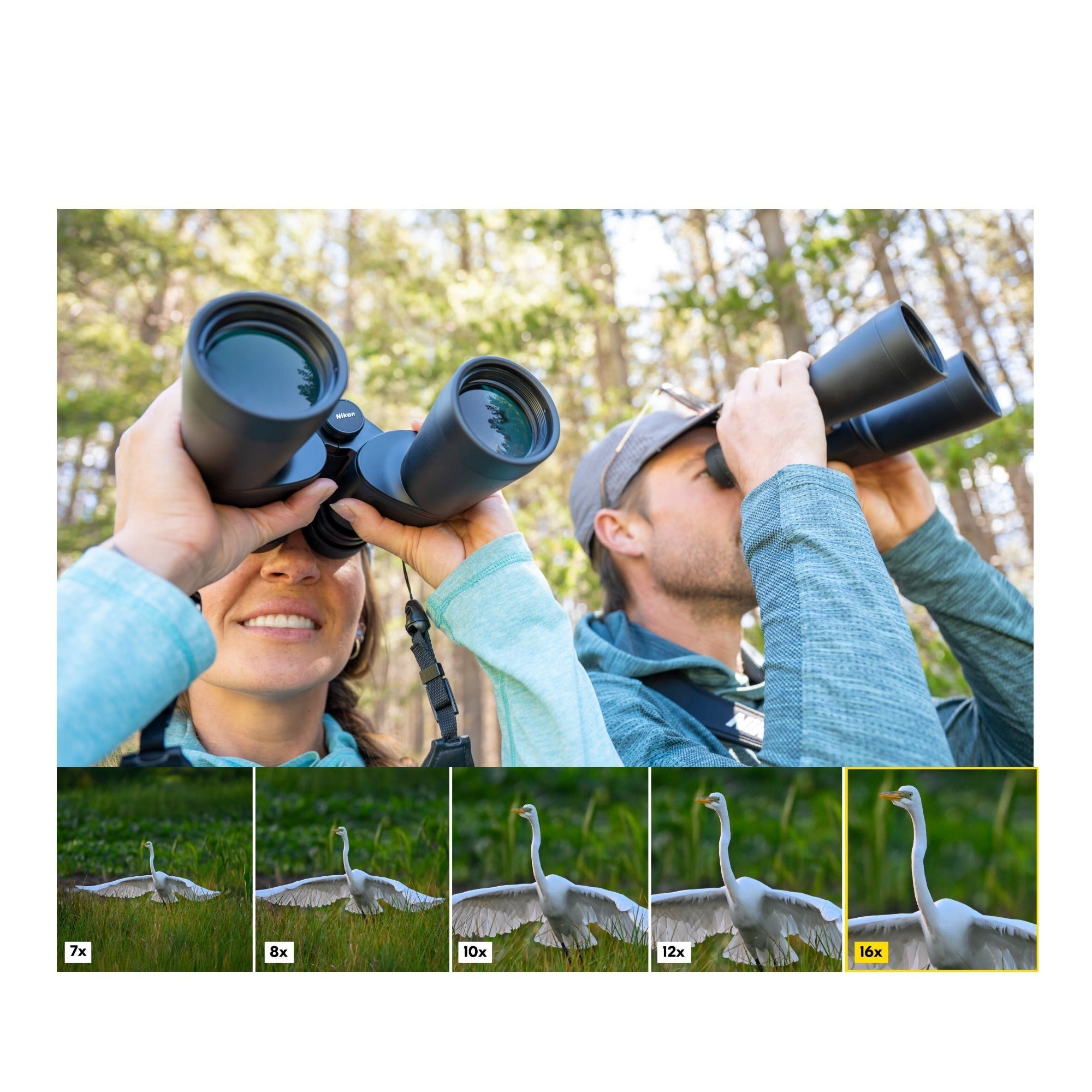 Nikon 16x50 Action Binoculars with 50mm Objective Lenses Wide Field of View