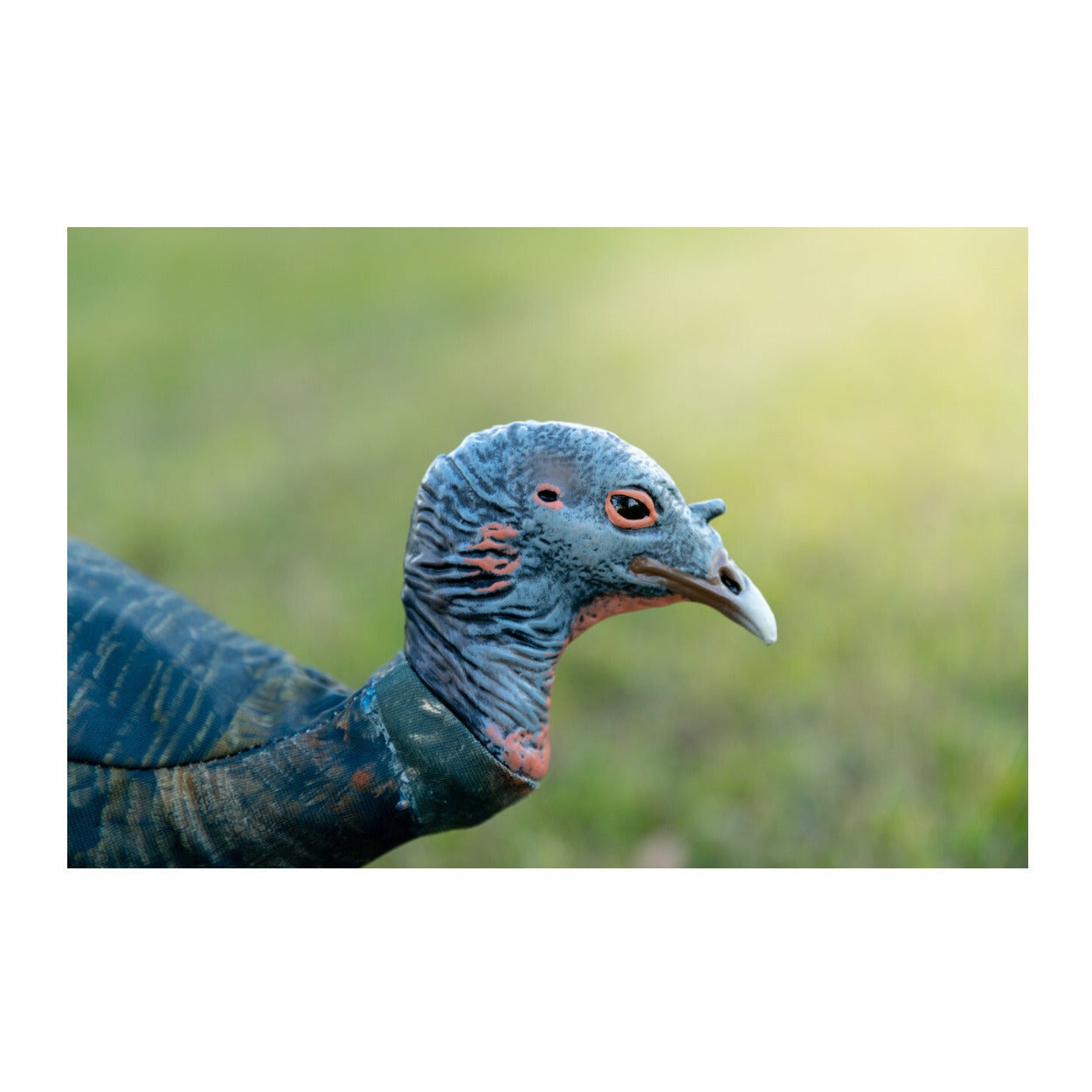 Montana Decoy Purr-Fect Pair XD3 Combo Turkey Decoys with Multiple Pose Options