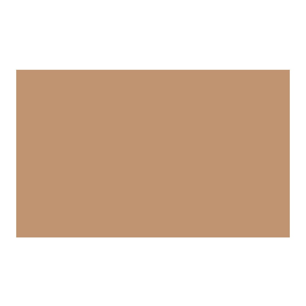 Savage Widetone Seamless Background Paper (#76 Mocha, 107-Inch x 36-Feet)