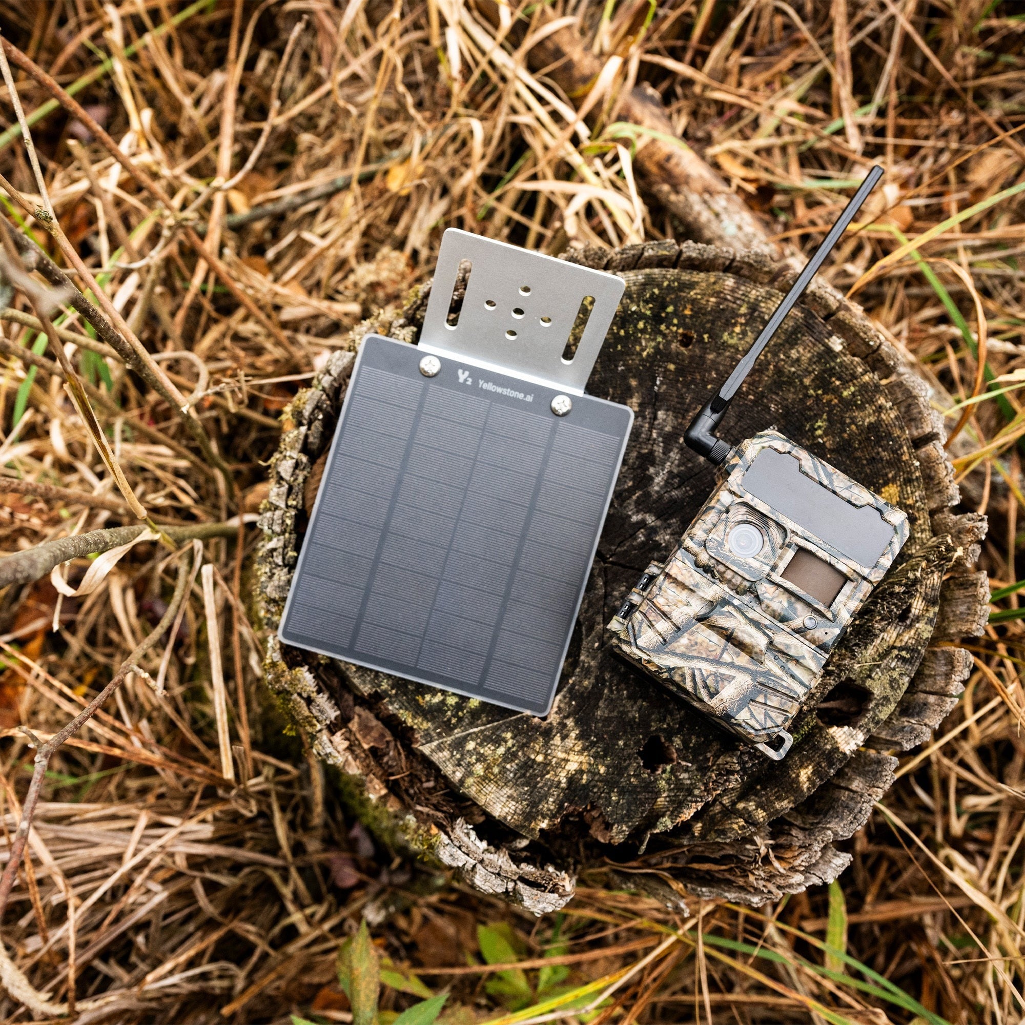 Yellowstone Y2 Wide Lens Cellular Trail Camera with Bear-Proof Metal Box Bundle