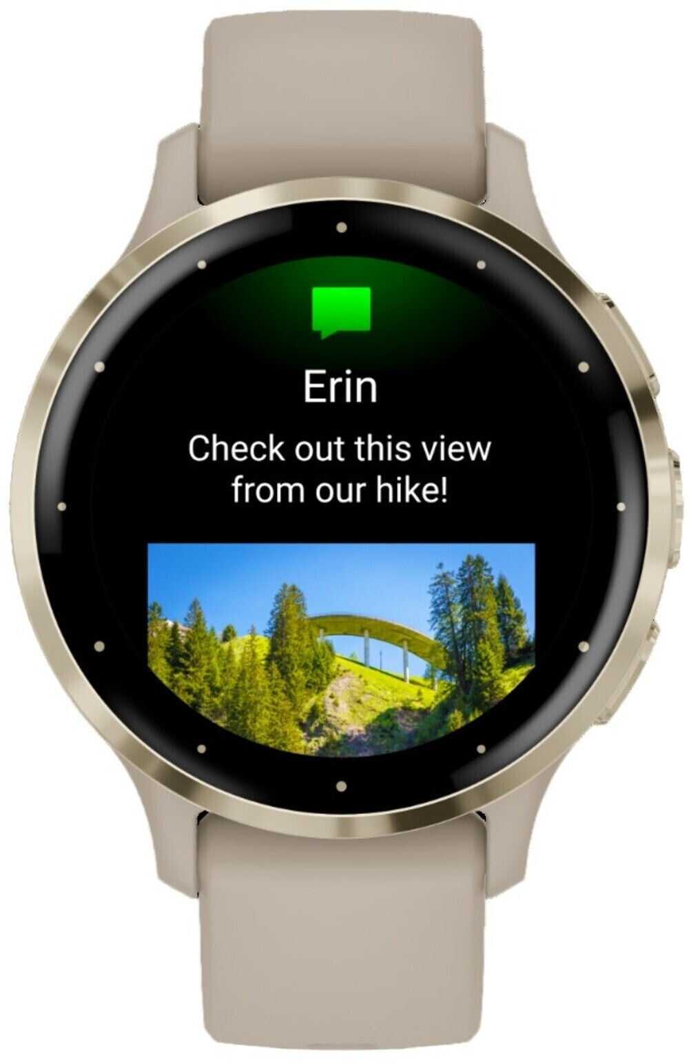 Garmin Venu 3S Soft Gold SS Bezel Smart Watch with 41mm French Gray Case and Silicone Band