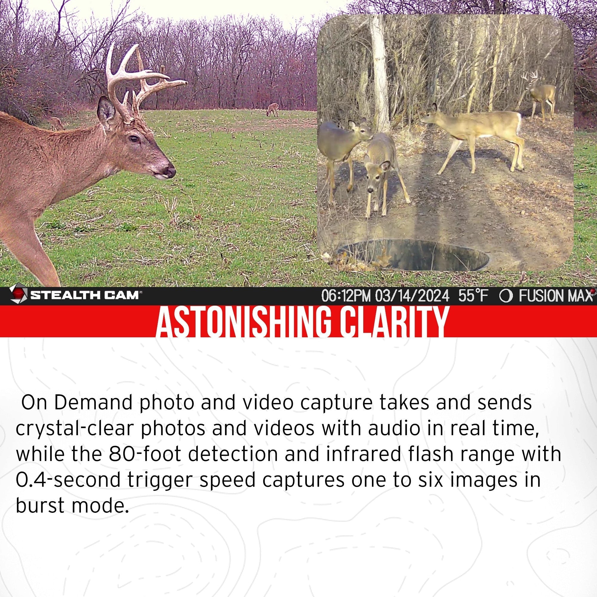 Stealth Cam 36MP Fusion Max Cellular Trail Camera 6-Pack with Fieldmax Lithium 6-Pack Bundle