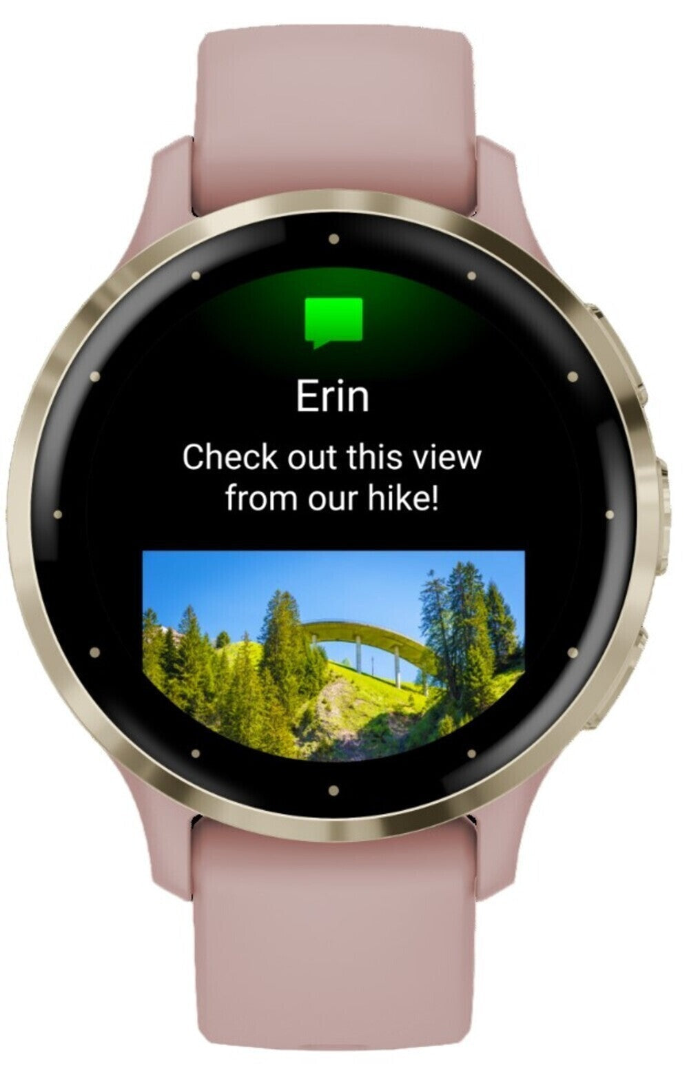 Garmin Venu 3S Smartwatch (Soft Gold/Dust Rose) (Used)