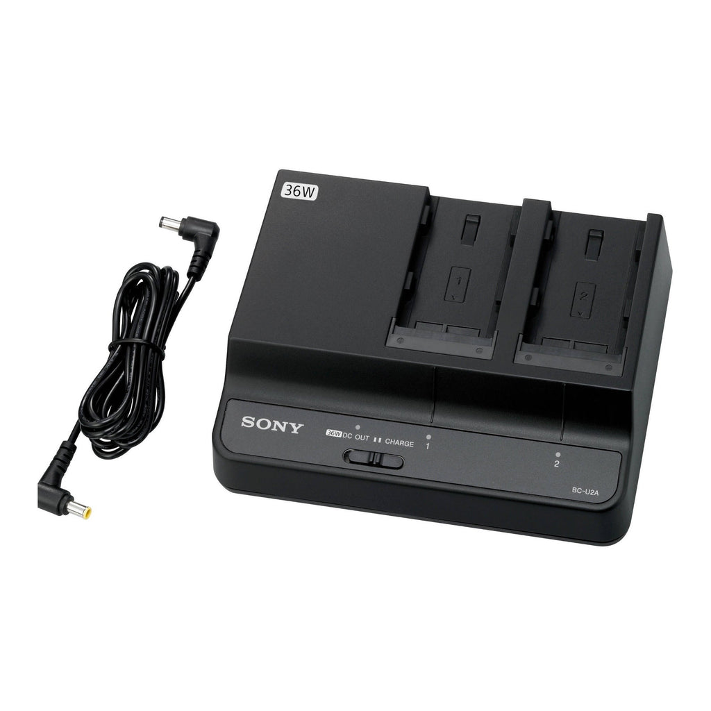 Sony Dual-Bay 36W Battery Charger and AC Adapter for BP-U Batteries with 12V Power Output (Black)