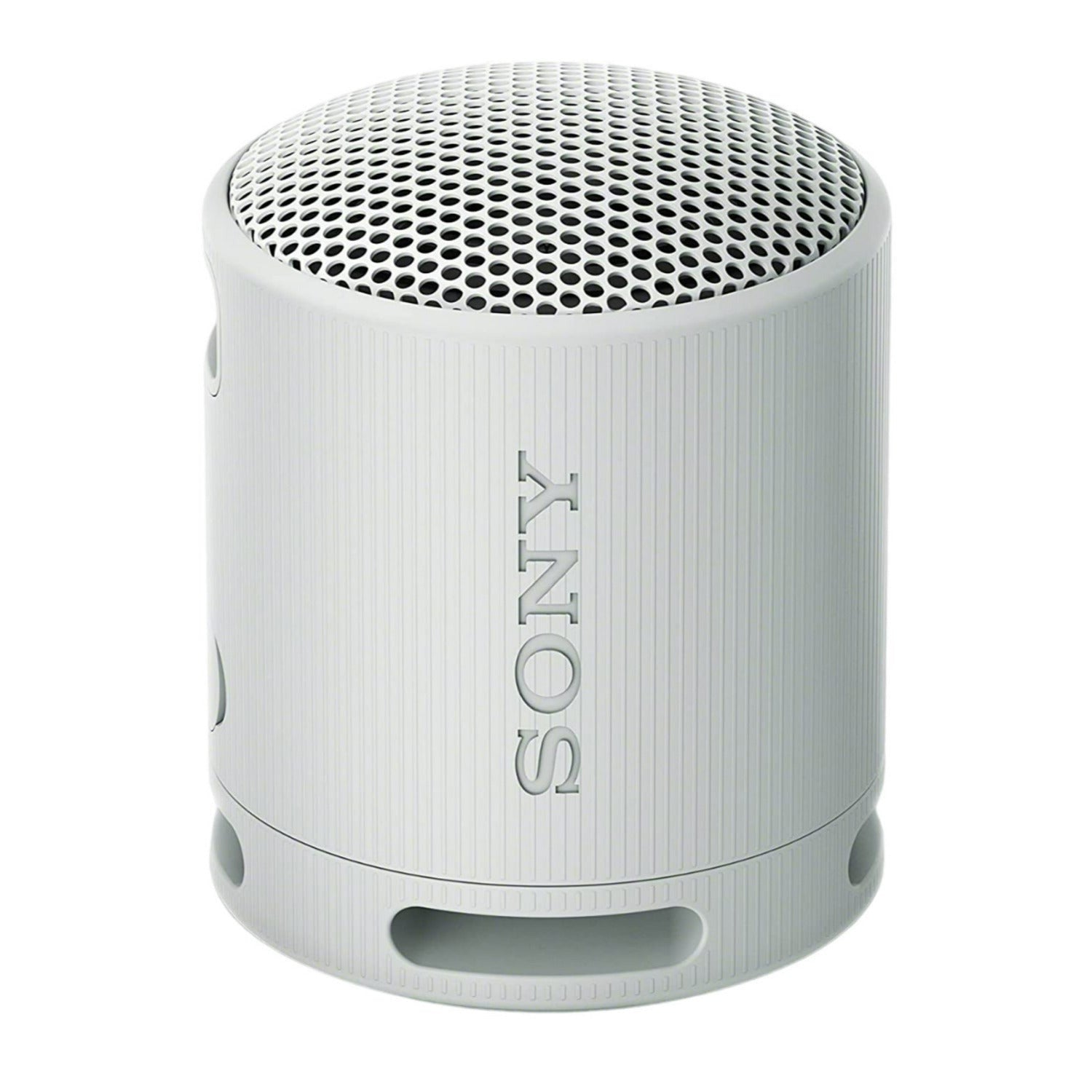 Sony SRS-XB100 Wireless Bluetooth Portable Speaker (Gray) with Case Bundle