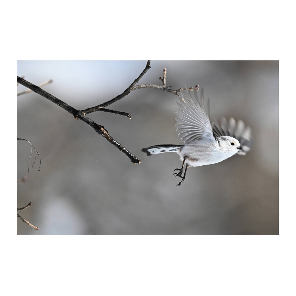 Nikon Z6 III Mirrorless Camera with 28-400mm f/4-8 Lens Kit (Nikon Z)