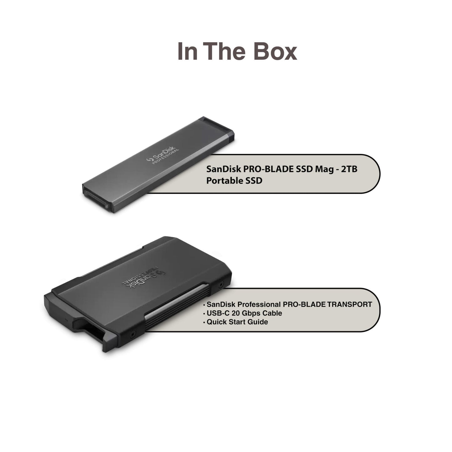 Sandisk Professional 2 TB Pro-Blade SSD MAG NvME with Pro-Blade Transport (0 TB)