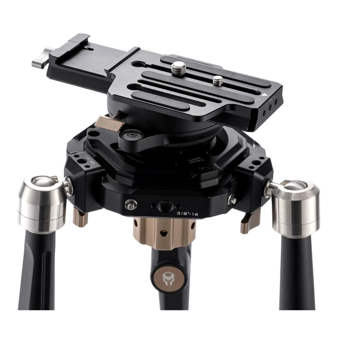 Tilta Hydra Articulating Car Mounting System with 75mm Bowl Head and Lightweight Design (Black)