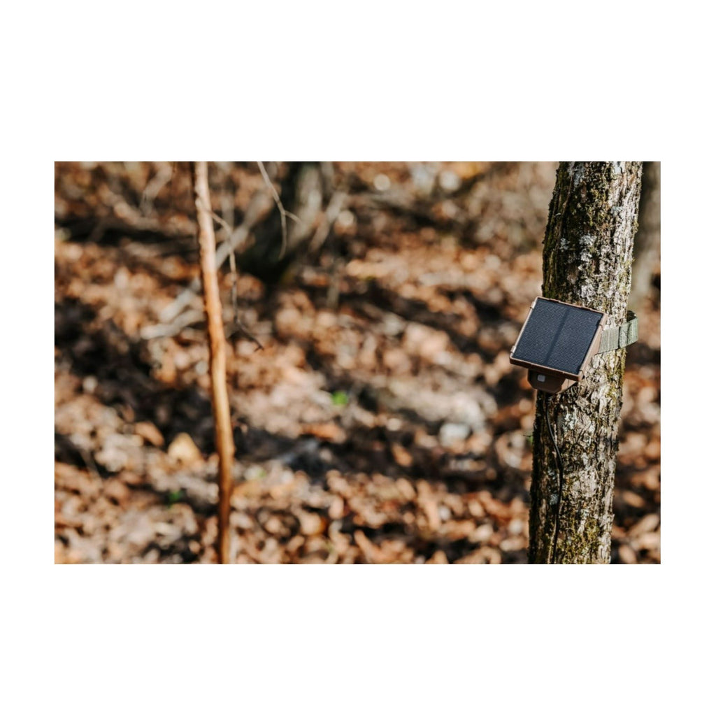 Browning Trail Camera Defender Wireless Pro Scout Max HD-DV (4-Pack) Bundle