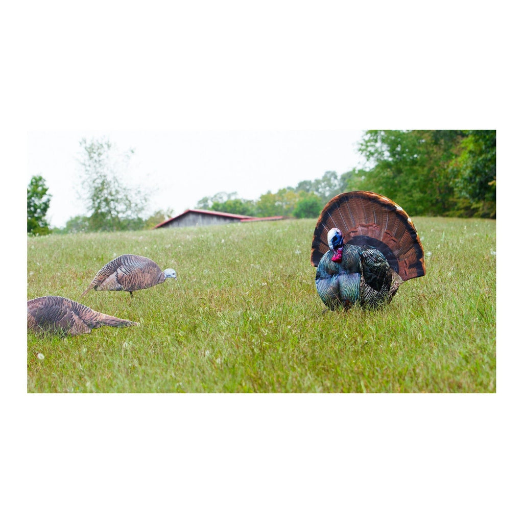 Montana Decoy Dinner Belle Hen Decoy - Compact and Portable