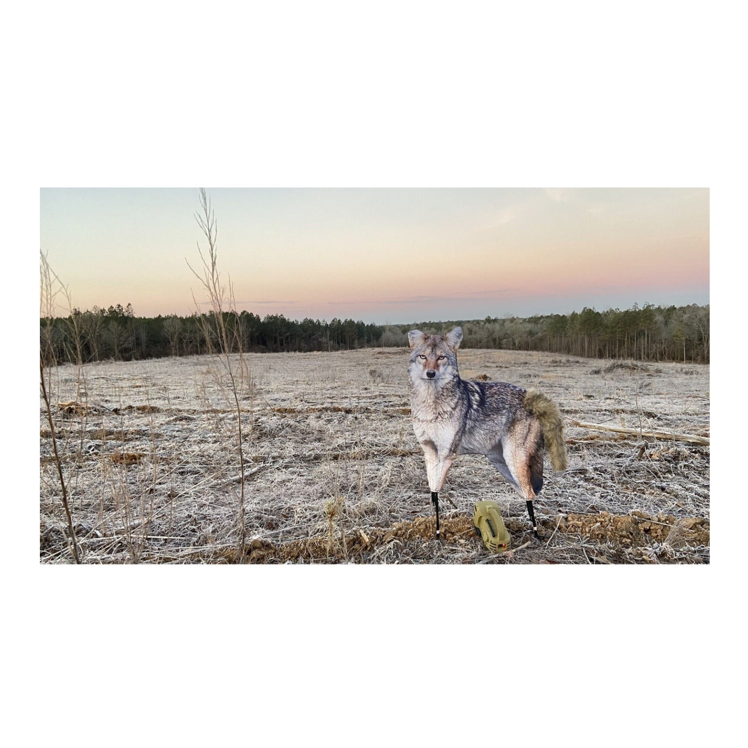 Montana Decoy The Song Dog Realistic Coyote Decoy 3D Moving Tail Carrier Bundle