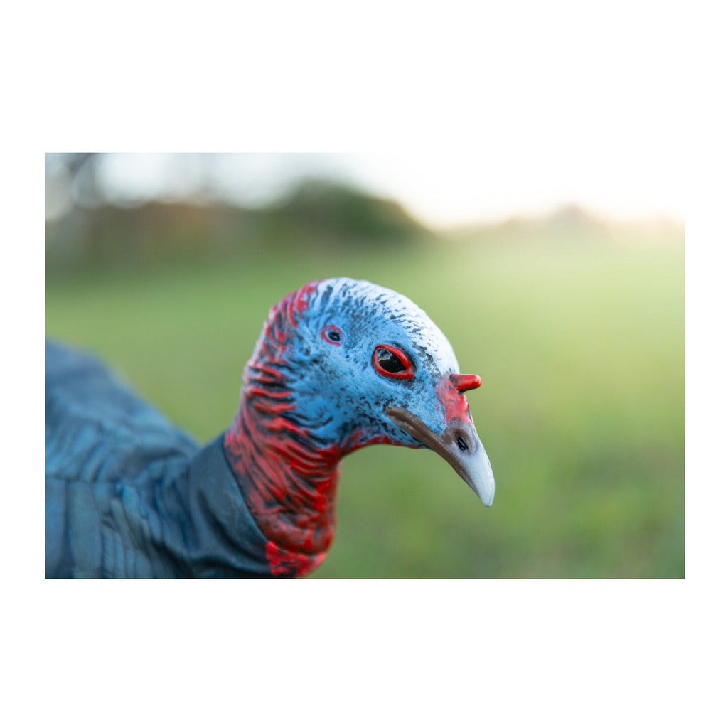 Montana Decoy Purr-Fect Pair XD3 Combo Turkey Decoys with Multiple Pose Options