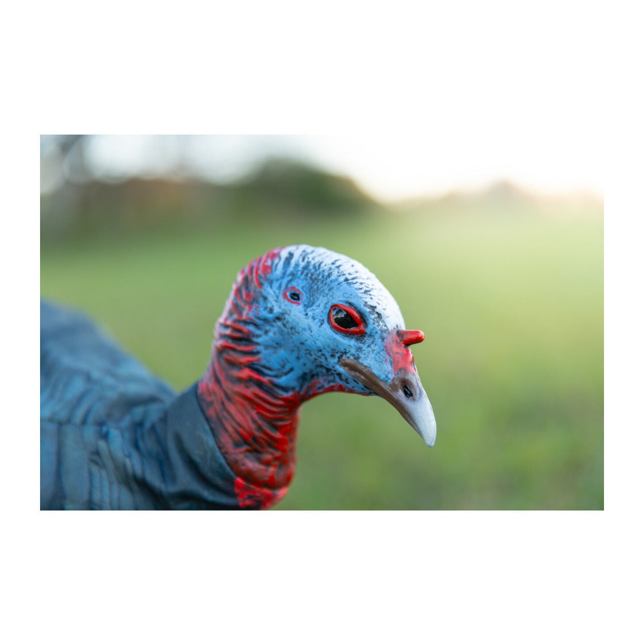 Montana Decoy Purr-Fect Pair XD3 Combo Turkey Decoys with Multiple Pose Options