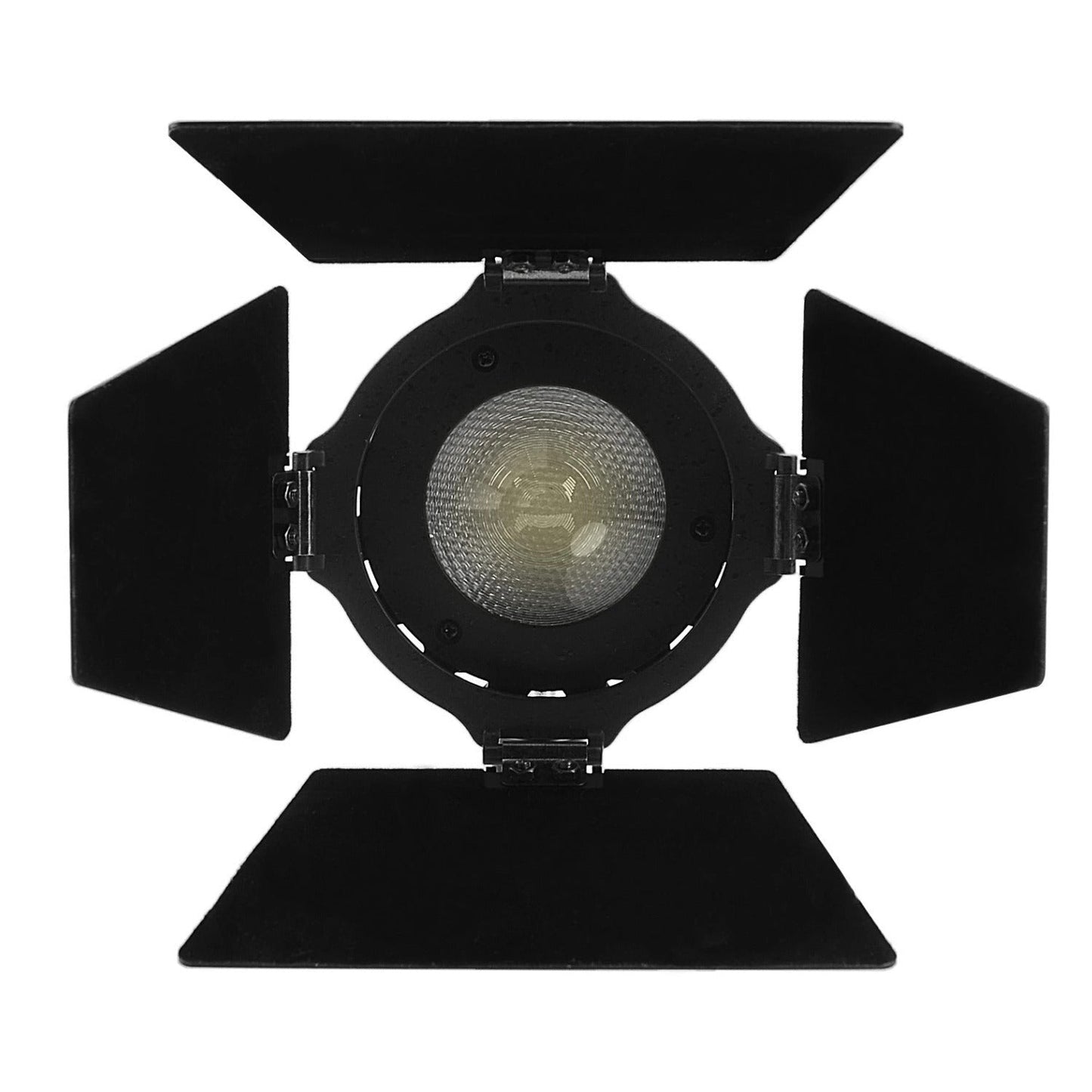 Aputure Light Storm LS-Mini 20C Bi-Color LED Light
