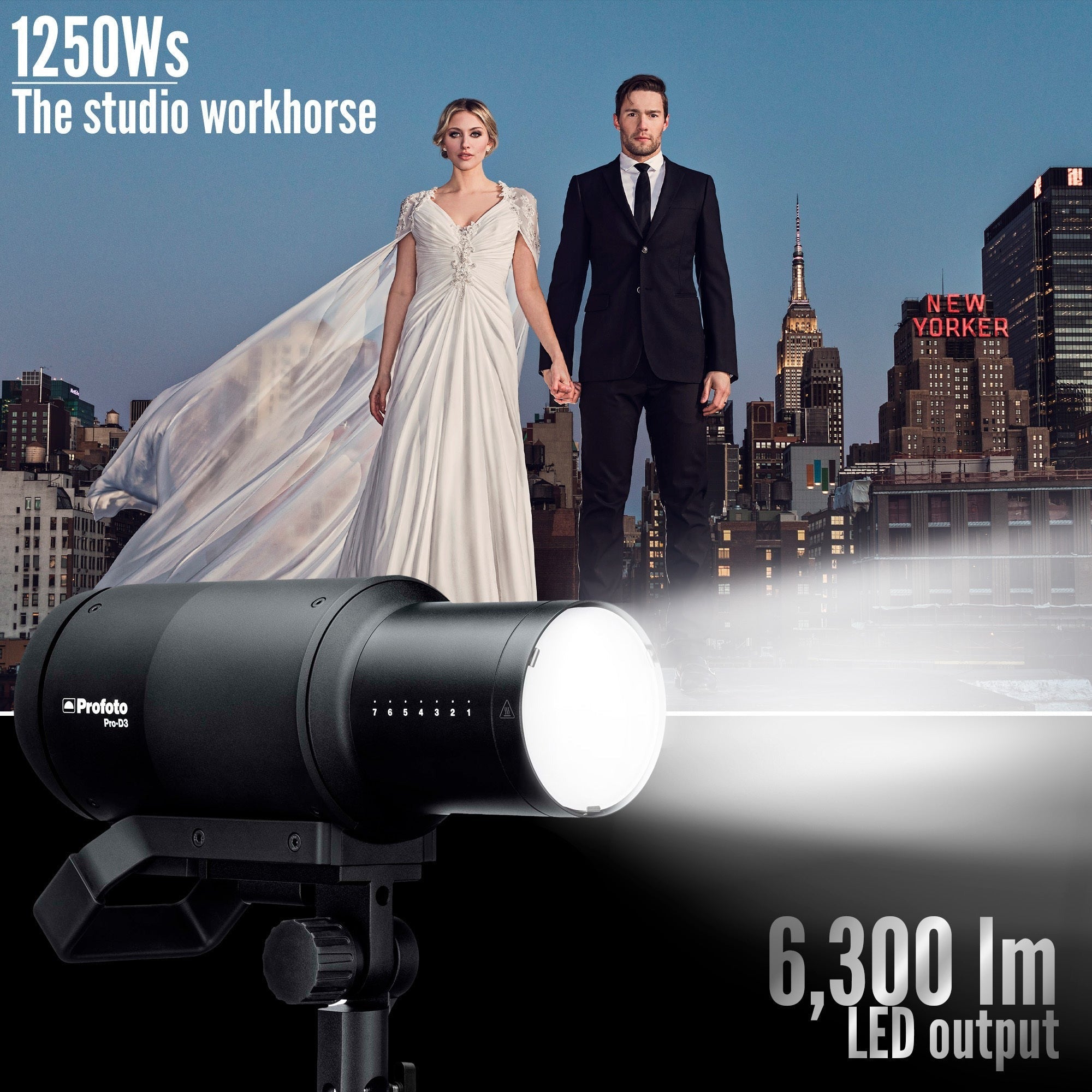 Profoto Pro-D3 Industrial-Grade Monolight (1250W) Bundle with Connect Pro Remote