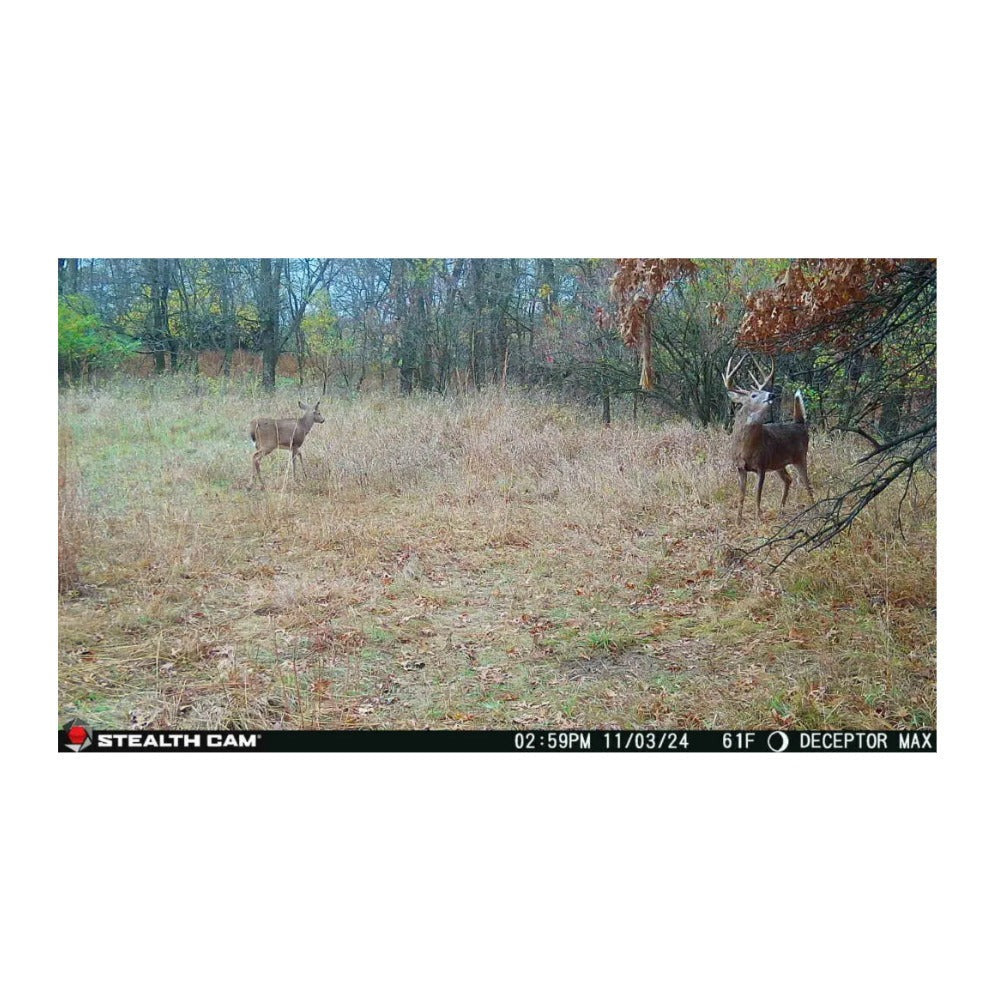 Stealth Cam Deceptor Max 3.0 Cellular Trail Camera (6-Pack) with Accessories