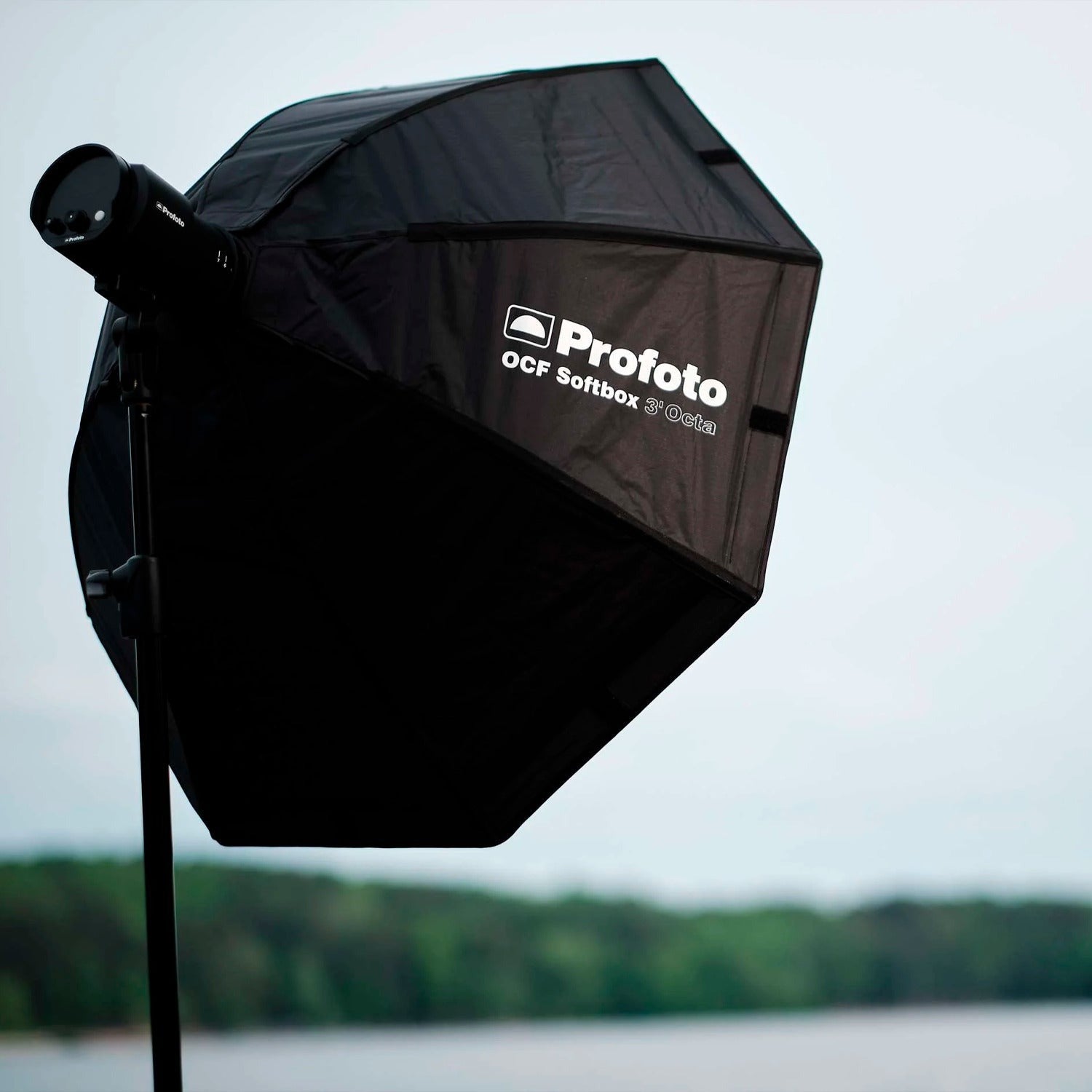 Profoto L600D LED Light 600W Flicker-Free Light with Softbox 3 ft. Octa Silver