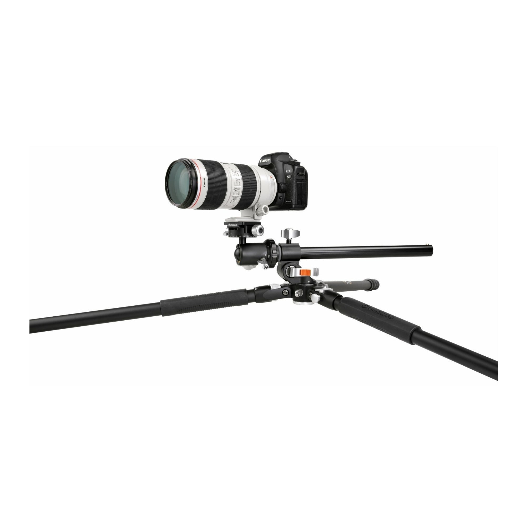 Vanguard Aluminum Tripod with VEO BH-160S Ball Head
