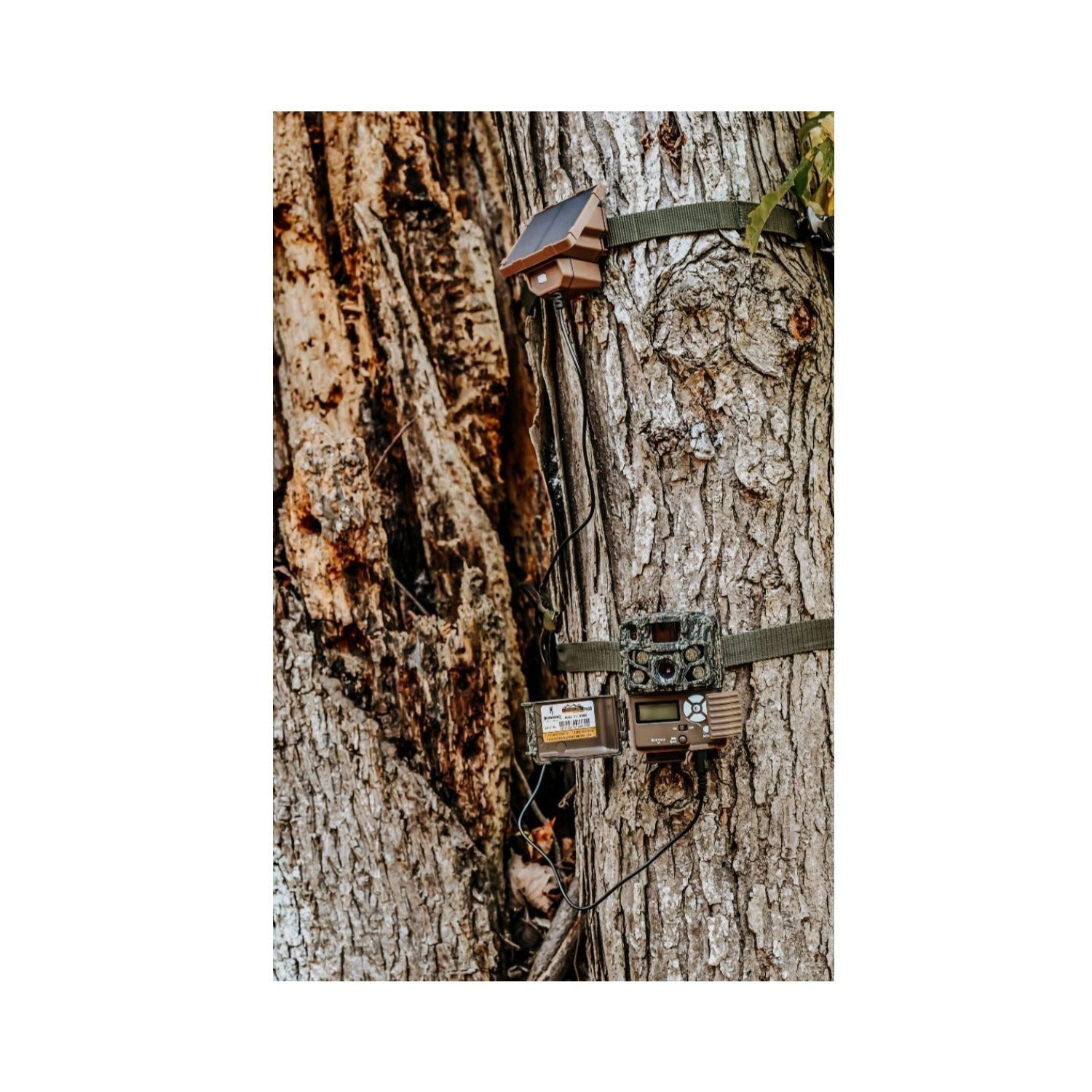Browning Trail Cameras Universal Solar Camera Power Pack (2-Pack) with Card Reader Bundle