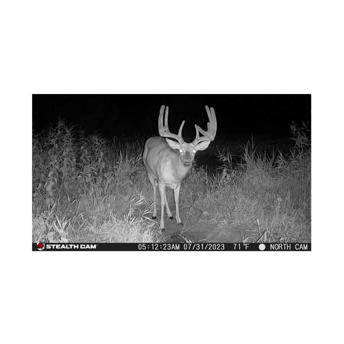 Stealth Cam Fusion X-Pro 36MP 720P Cellular Dual Sim Trail Camera 2-Pack Bundle