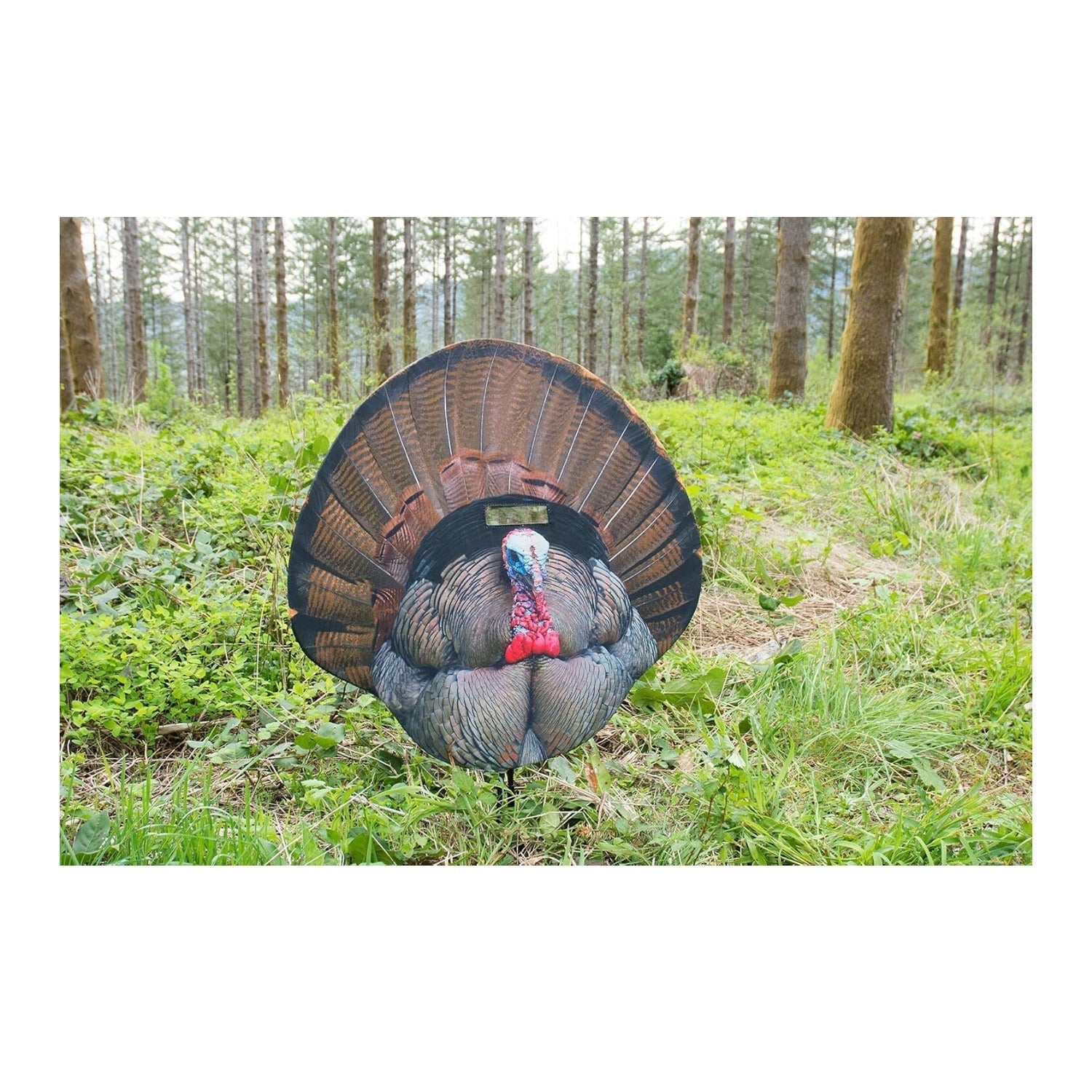 Montana Decoy Fanatic Reaping Decoy with See-Through Mesh Window