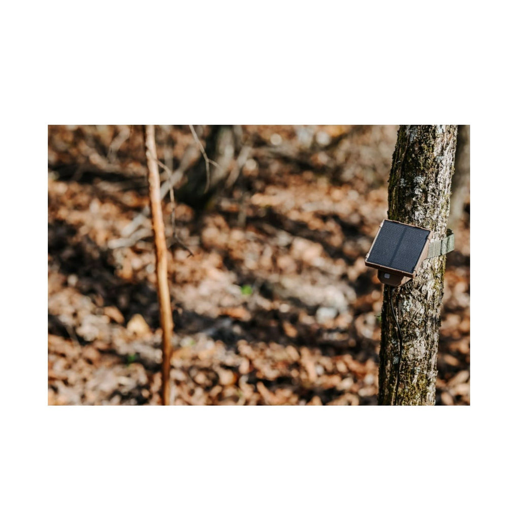 Browning Trail Cameras Universal Solar Camera Power Pack (2-Pack) with Card Reader Bundle