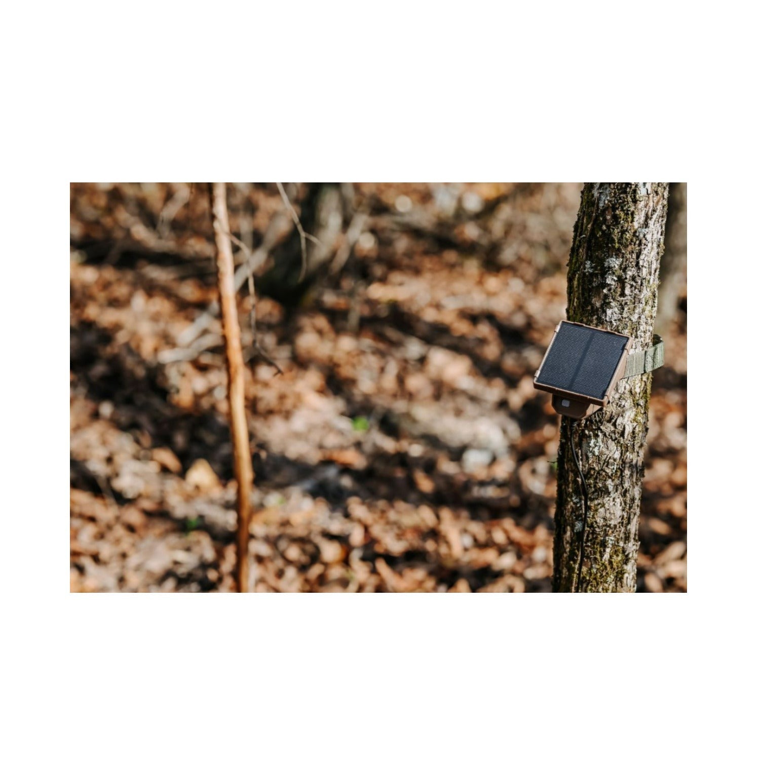 Browning Trail Cameras Universal Solar Camera Power Pack (2-Pack) with Card Reader Bundle