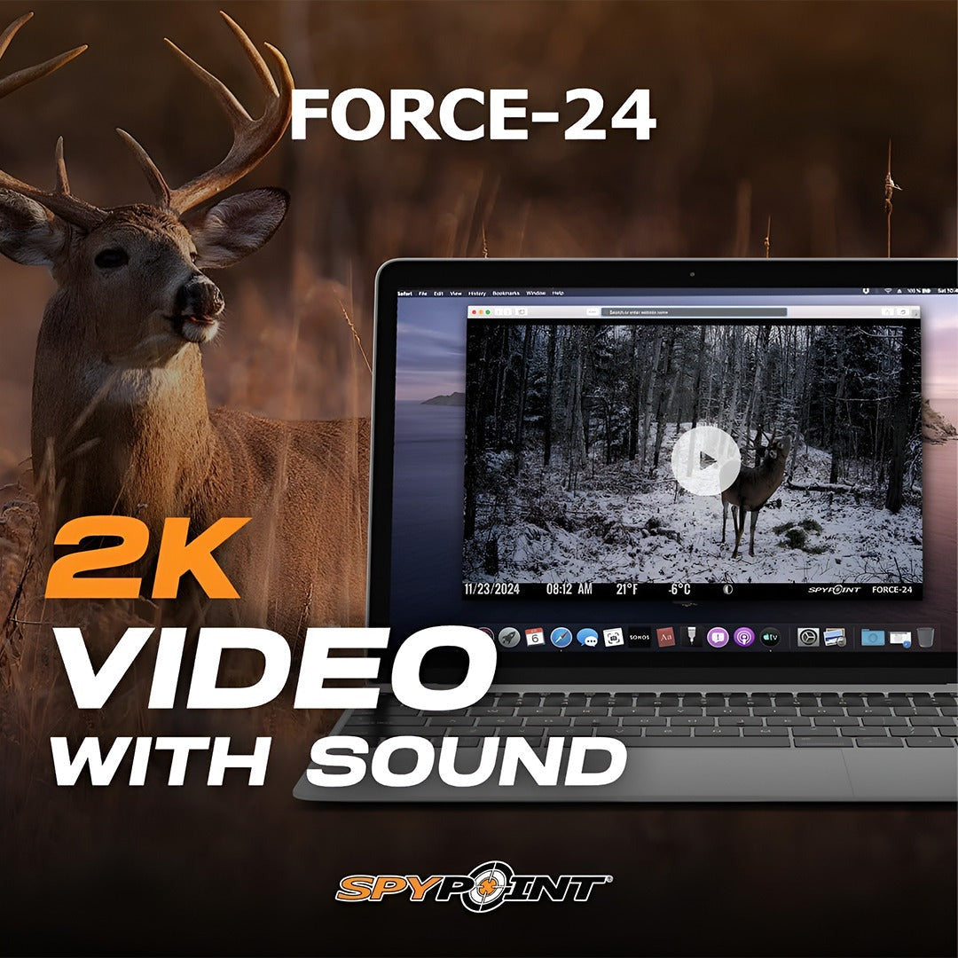 Spypoint Force-24MP Non-Cellular Trail Camera (2 Pack) Bundle with Accessories