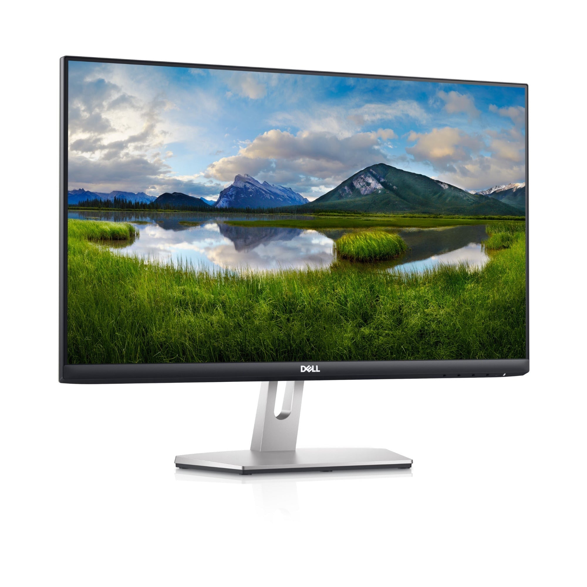 Dell S2421H 23.8-Inch 16:9 FreeSync IPS Monitor with AMD FreeSync Support