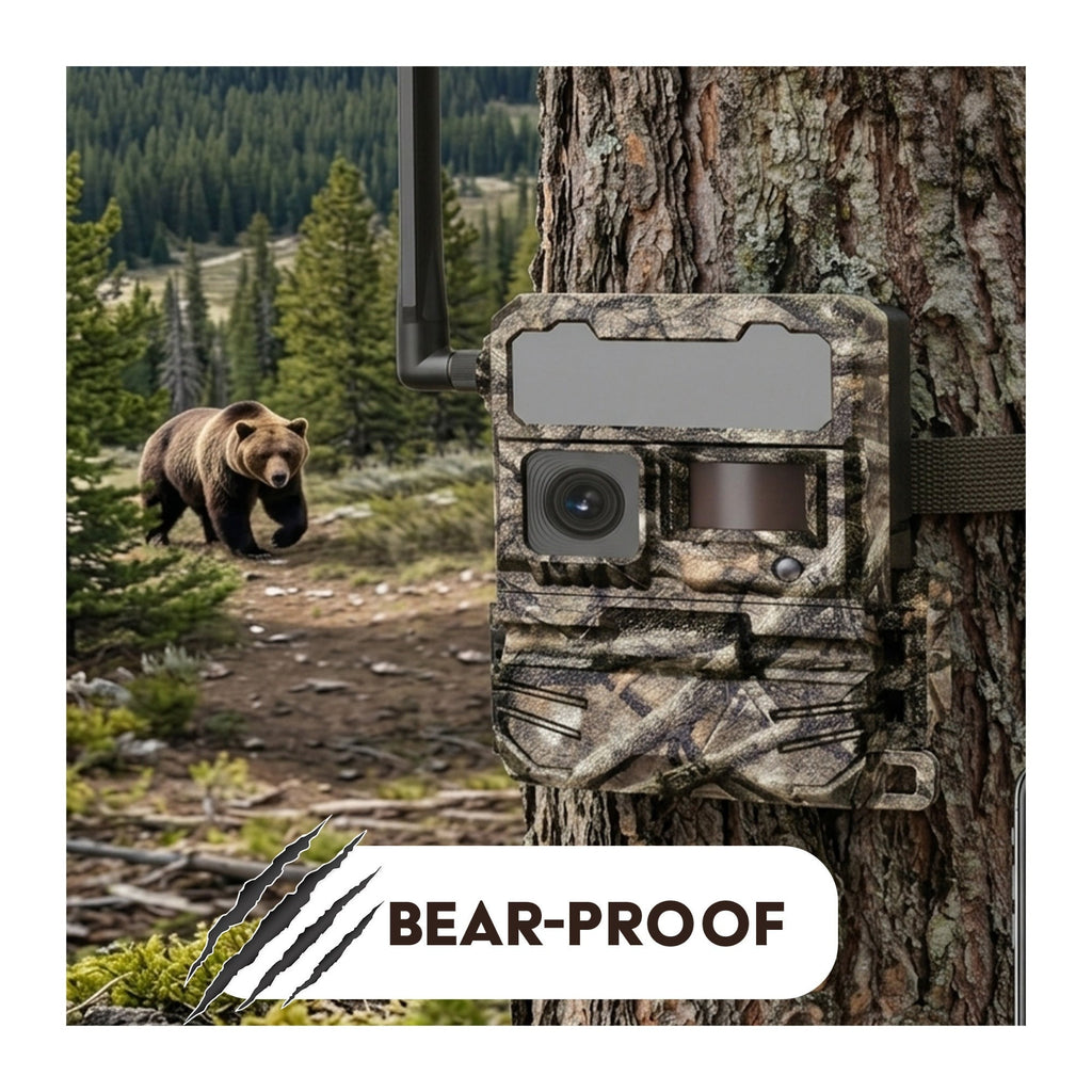 Yellowstone Y2 Camera Bundle with 5,000 mAh Battery Packs, Card Reader, and Accessories (4-Pack)