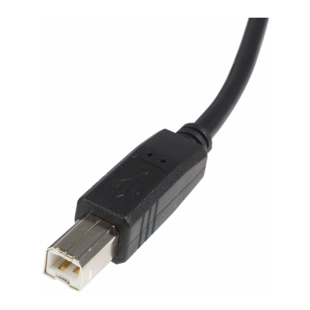 Startech 6-Feet USB 2.0 A to B Male/Male Cable (USB Printer Cable)