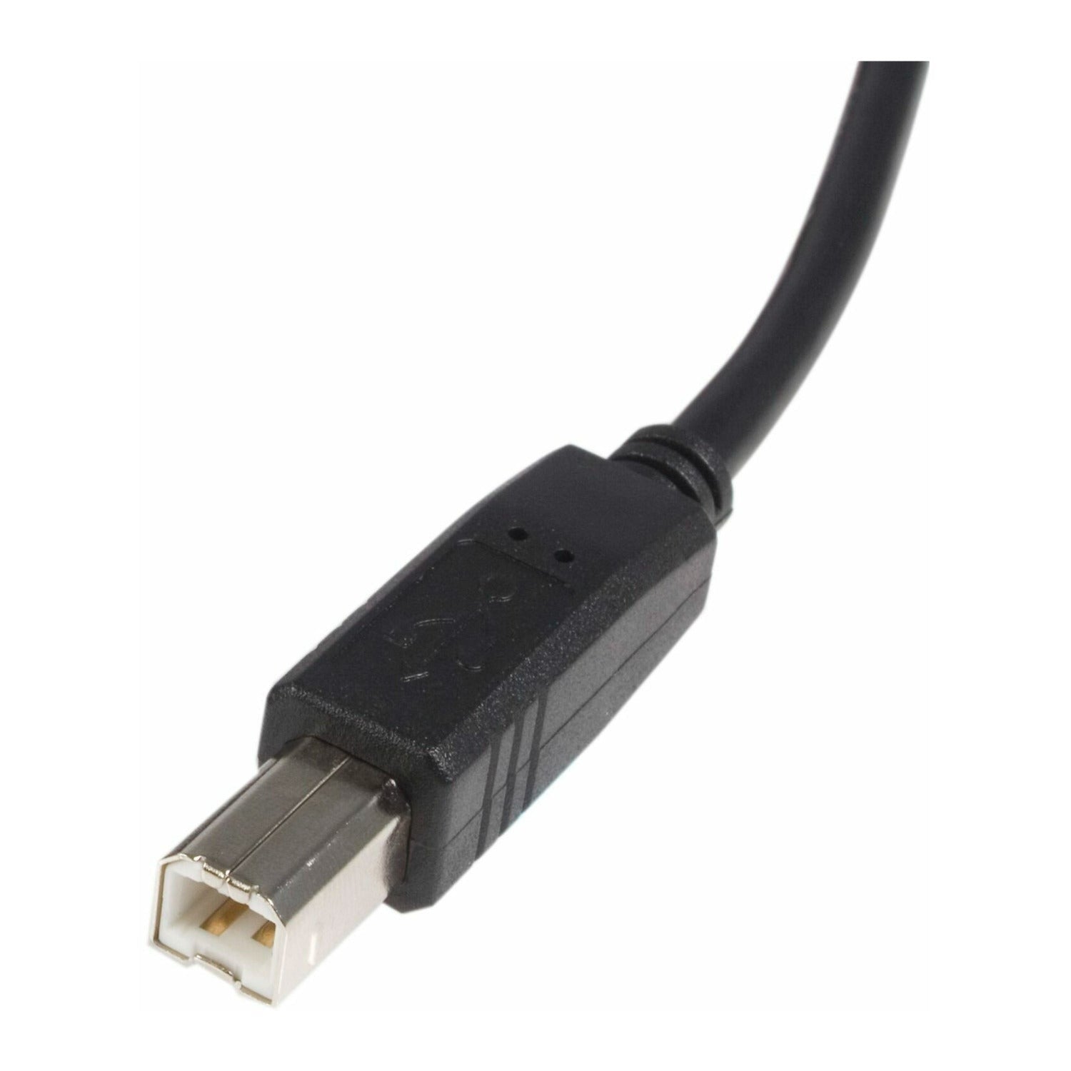 Startech 6-Feet USB 2.0 A to B Male/Male Cable (USB Printer Cable)