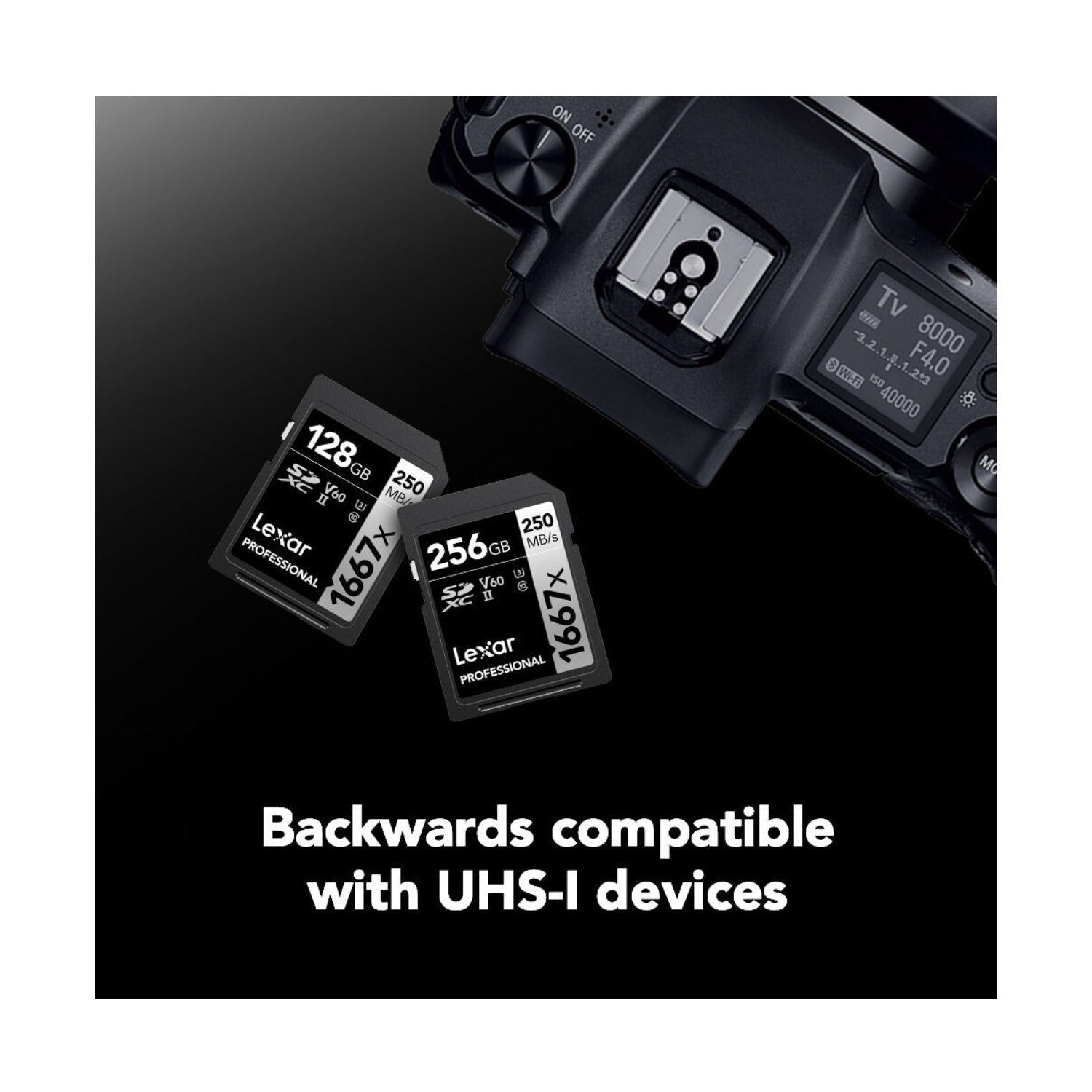 Lexar Professional SDXC 1667X UHS-II V60 4K 256GB Memory Card (2-Pack)