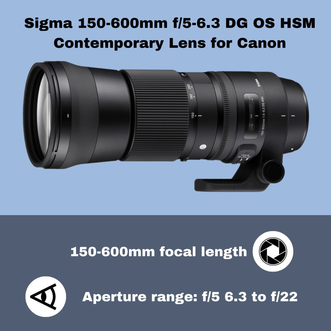 Sigma 150-600mm f/5-6.3 DG OS HSM Lens for Canon with USB Dock Bundle