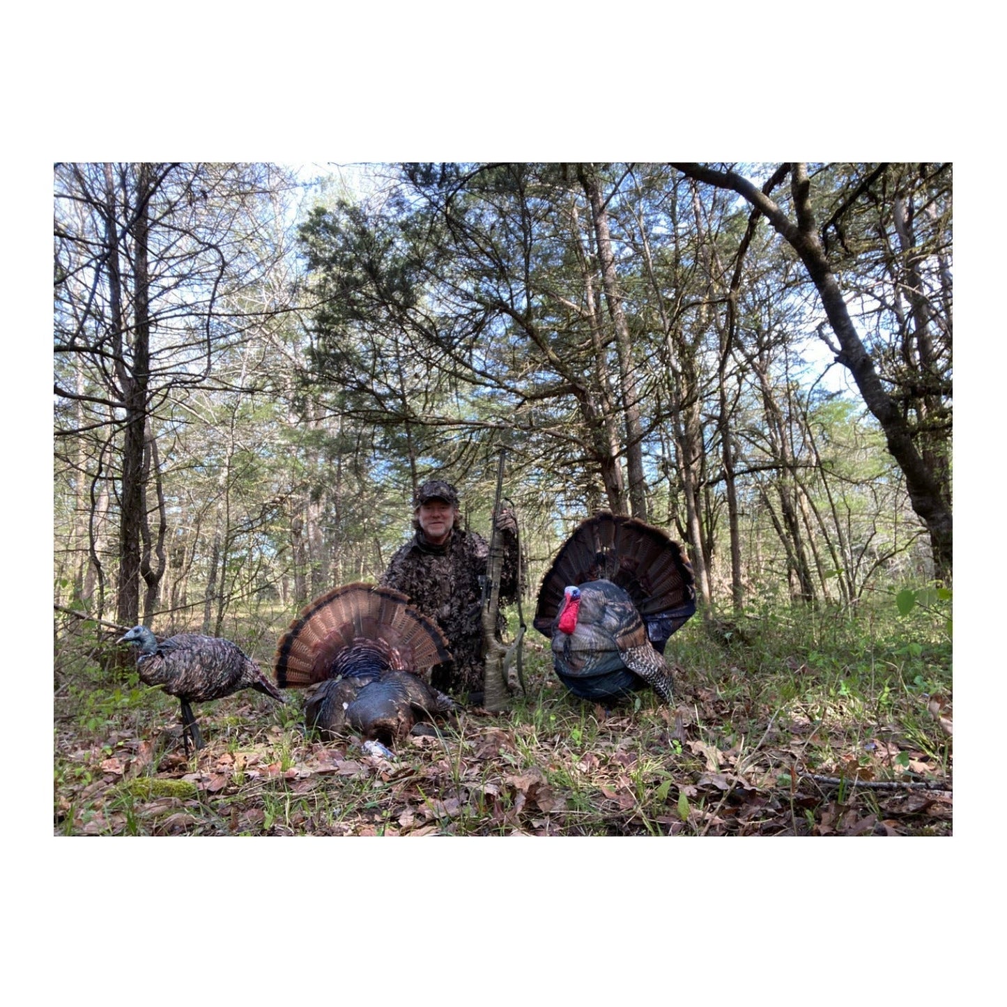 Montana Decoy Wiley Tom 3D Turkey Decoy - Ultralight Collapsible 3D Design