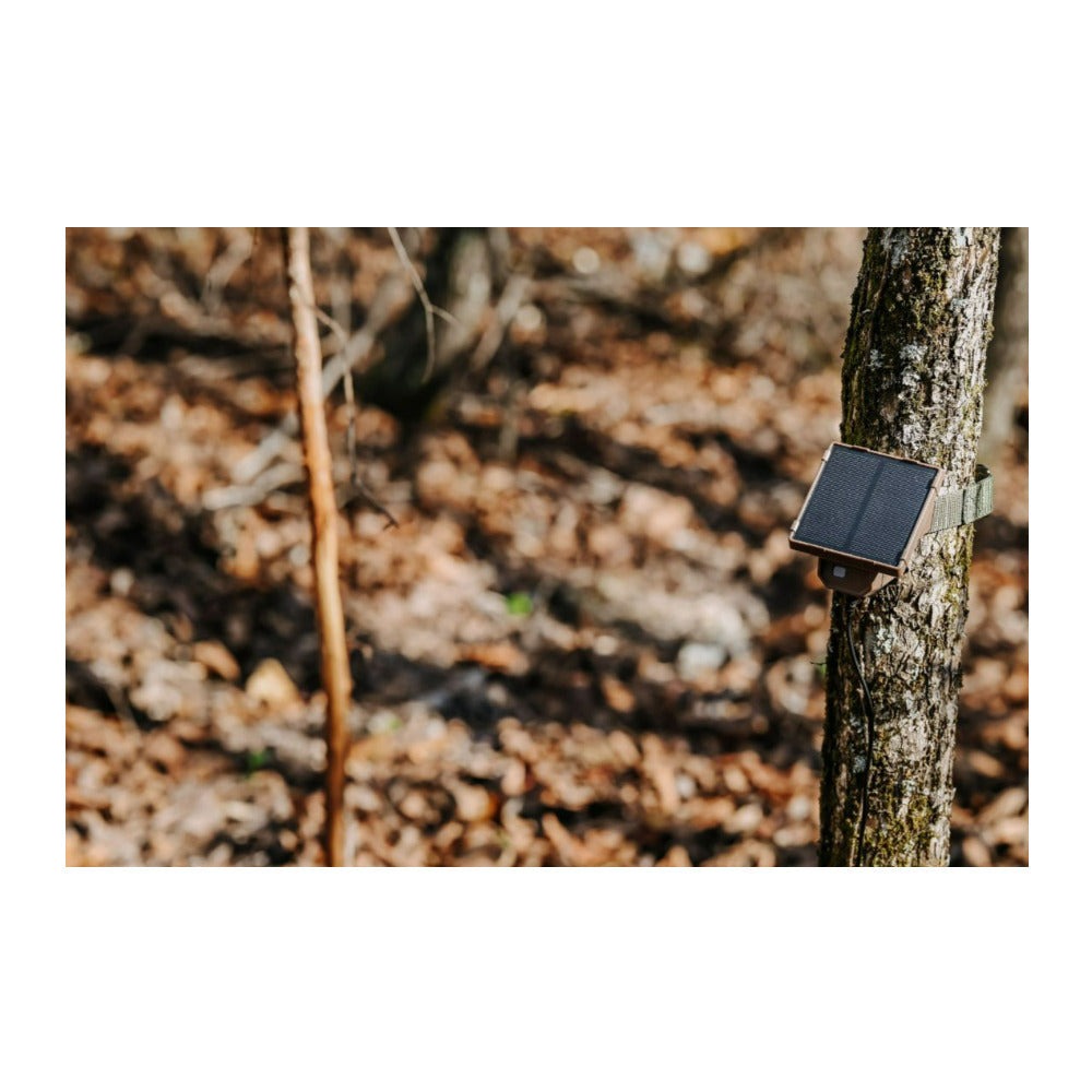 Browning Strike Force Pro 26MP Trail Camera (10 Pack) Bundle with Accessories