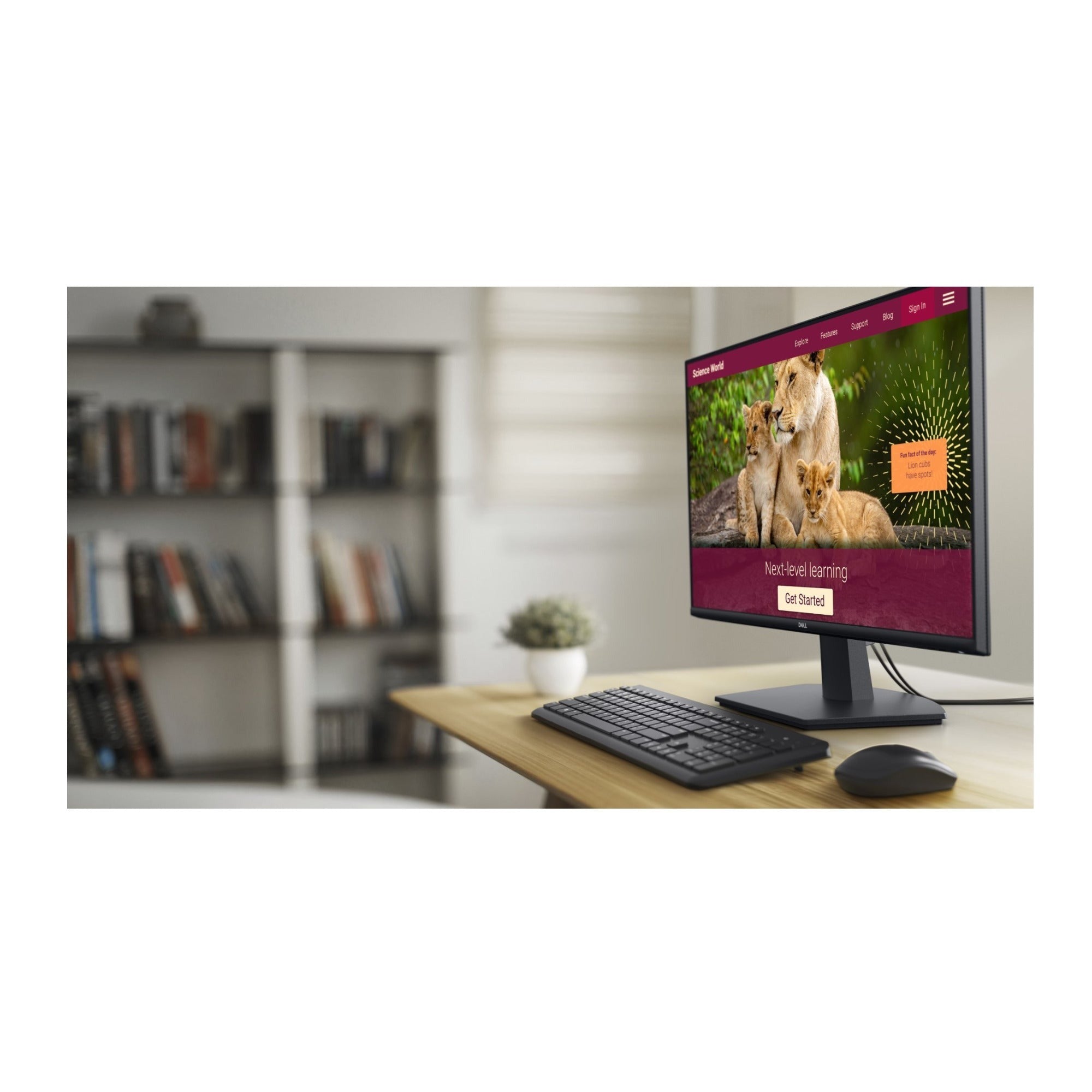 Dell SE2725HM 27-Inch 100Hz Full HD (1920x1080) IPS LED Monitor