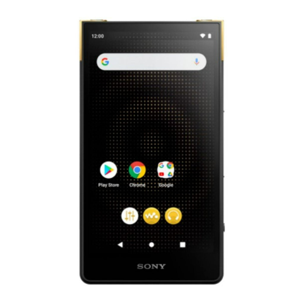 Sony ZX700 Series 5-Inch Digital Portable Wi-Fi Compatible Walkman (Black) (Used)