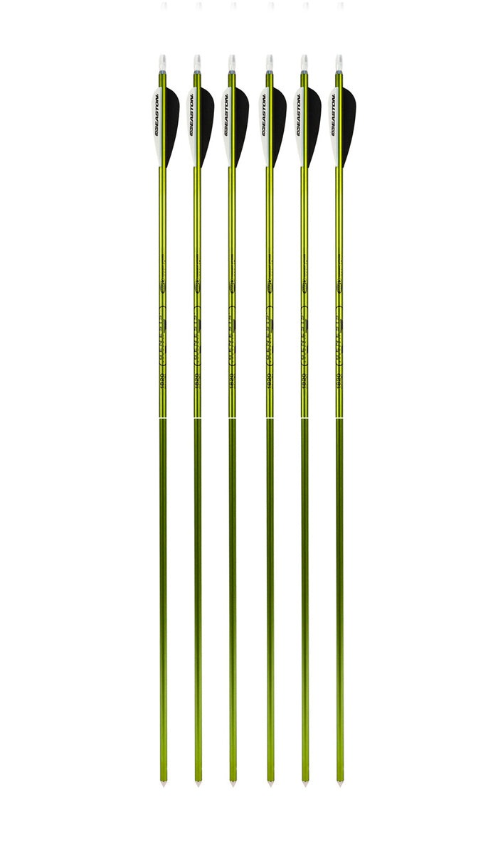 Genesis Archery Original Bow (Right Hand, Red) and Six Arrows Kit