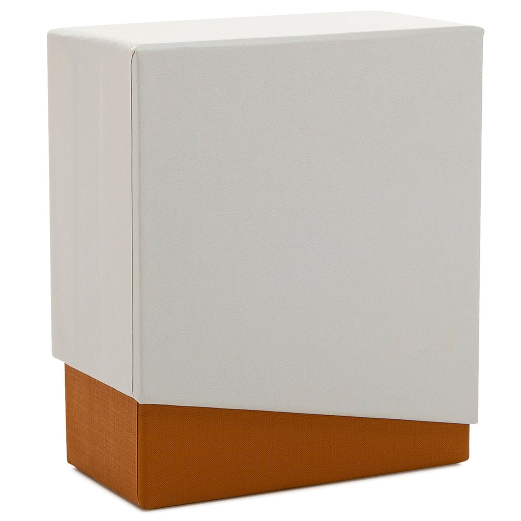 Fujifilm Instax Square Film Twin Pack (40 Exposures) with Case and Storage Box