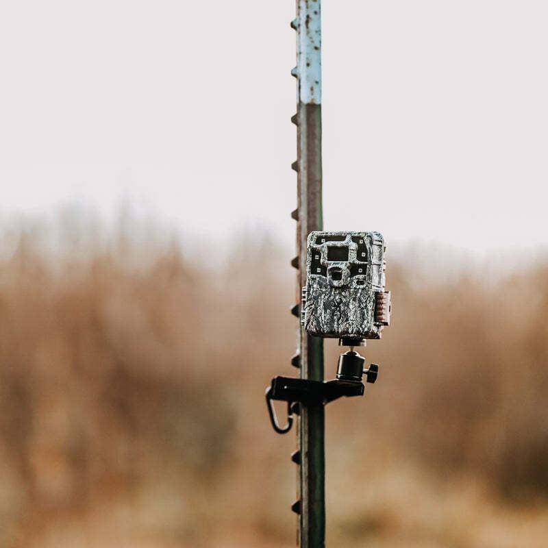 Browning Trail Cameras Strike Force Pro X Trail Camera Bundle (6-Pack, Camo)