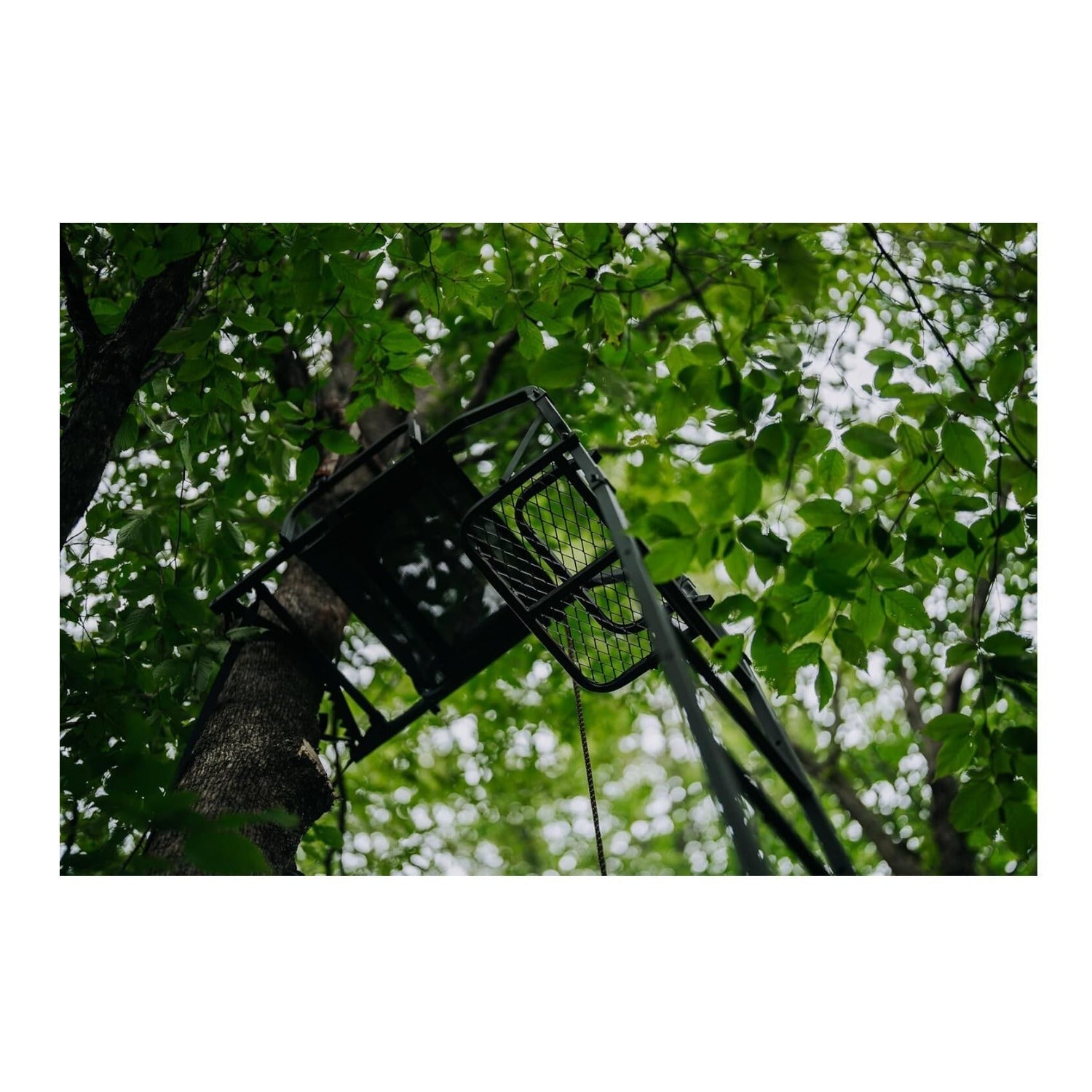 Muddy 20' Odyssey XTL Ladder Tree Stand with Tree-Lok System (350 lb. Capacity)