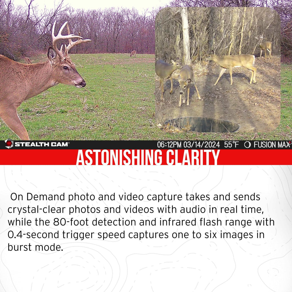 Stealth Cam 36MP Fusion Max Cellular Trail Camera 2-Pack with Fieldmax Lithium 2-Pack Bundle