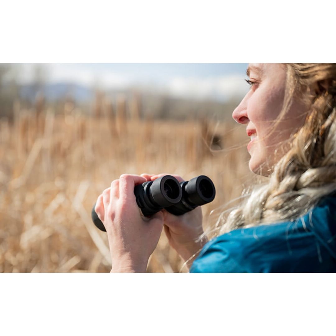 Nikon PROSTAFF P7 8x42 Waterproof/Fogproof Full-Size Binoculars (Black) (Certified Refurbished)