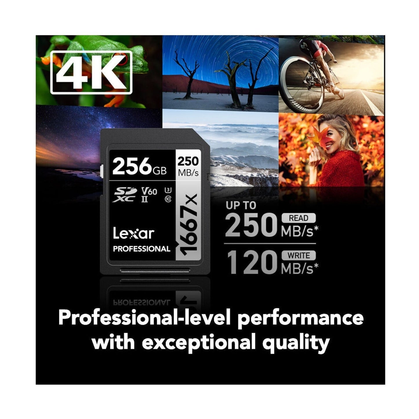 Lexar Professional SDXC 1667X UHS-II V60 4K 256GB Memory Card (2-Pack)