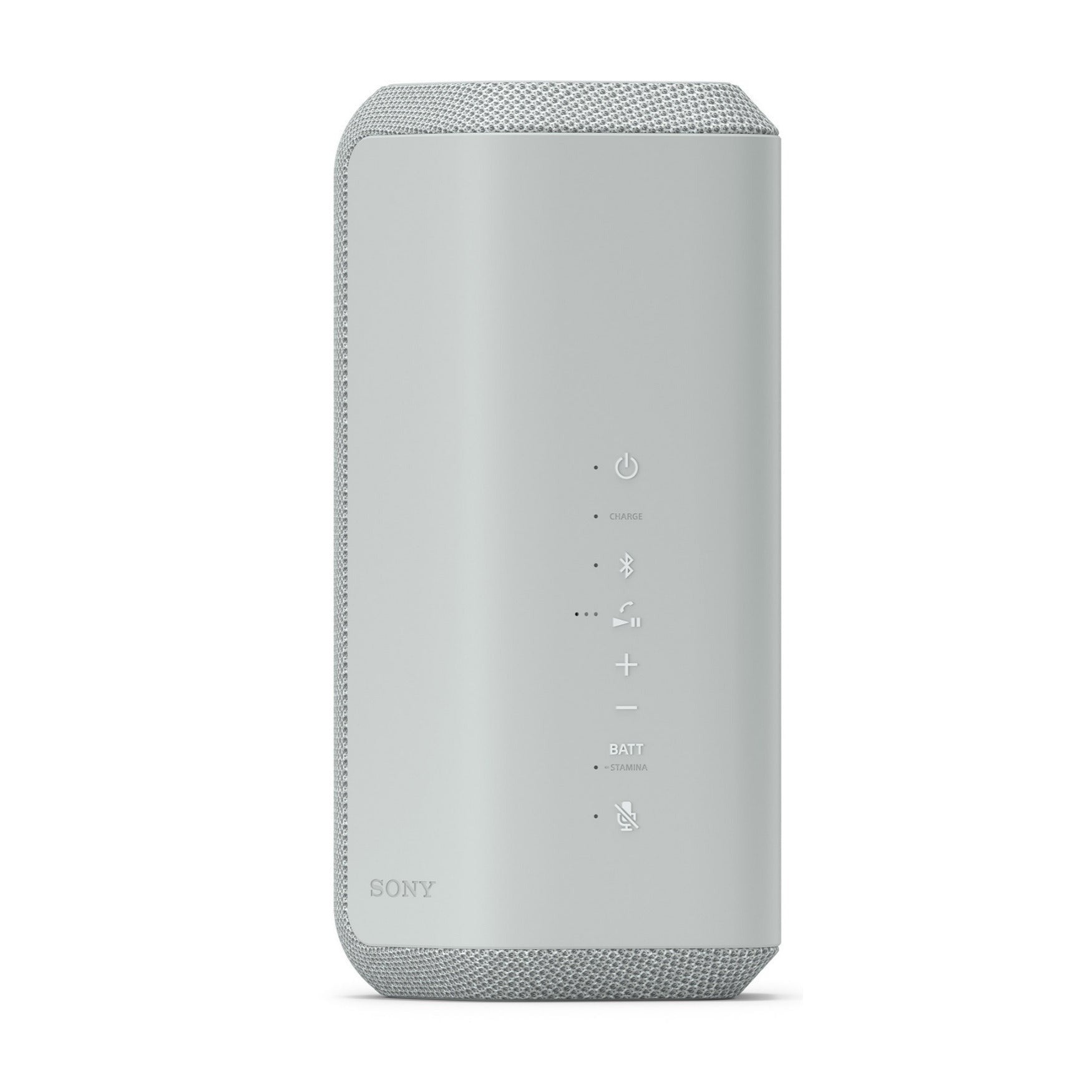 Sony SRS-XE300 X-Series Wireless Portable Bluetooth Speaker (Gray) with Case