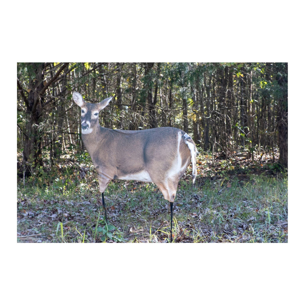 Montana: Trixie Whitetail Doe - Ultra-Realistic Deer Decoy with Teaser Tails