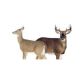 Montana Decoy Dream Team Buck and Doe (Multicolor)